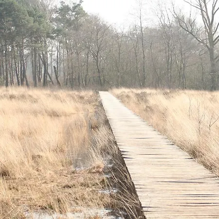 Luxe Vakantiewoning Het Peelhuis Meijel