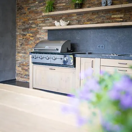 Vakantiehuis Luxe Vakantiewoning Het Peelhuis